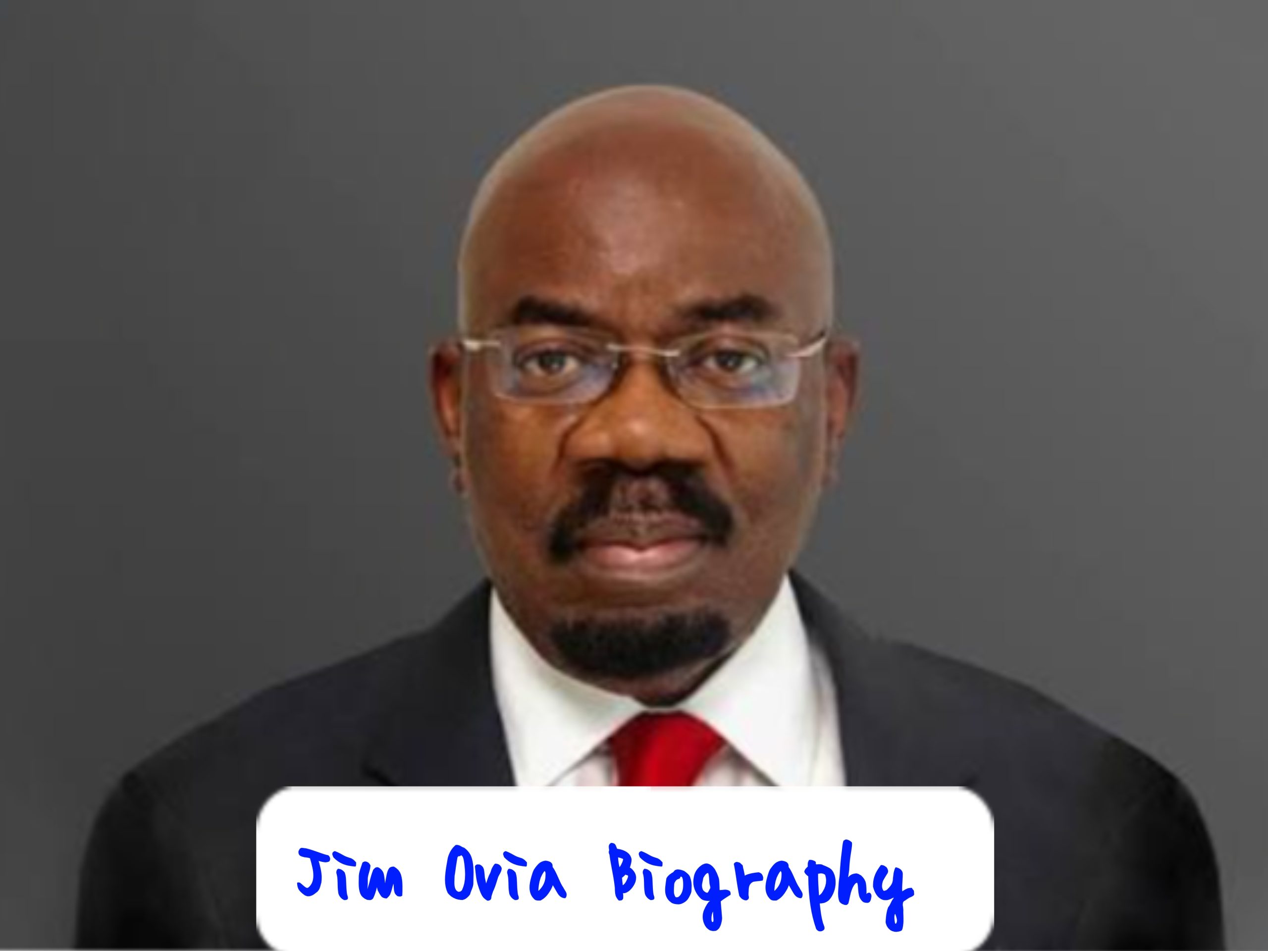 Jim Ovia Biography
