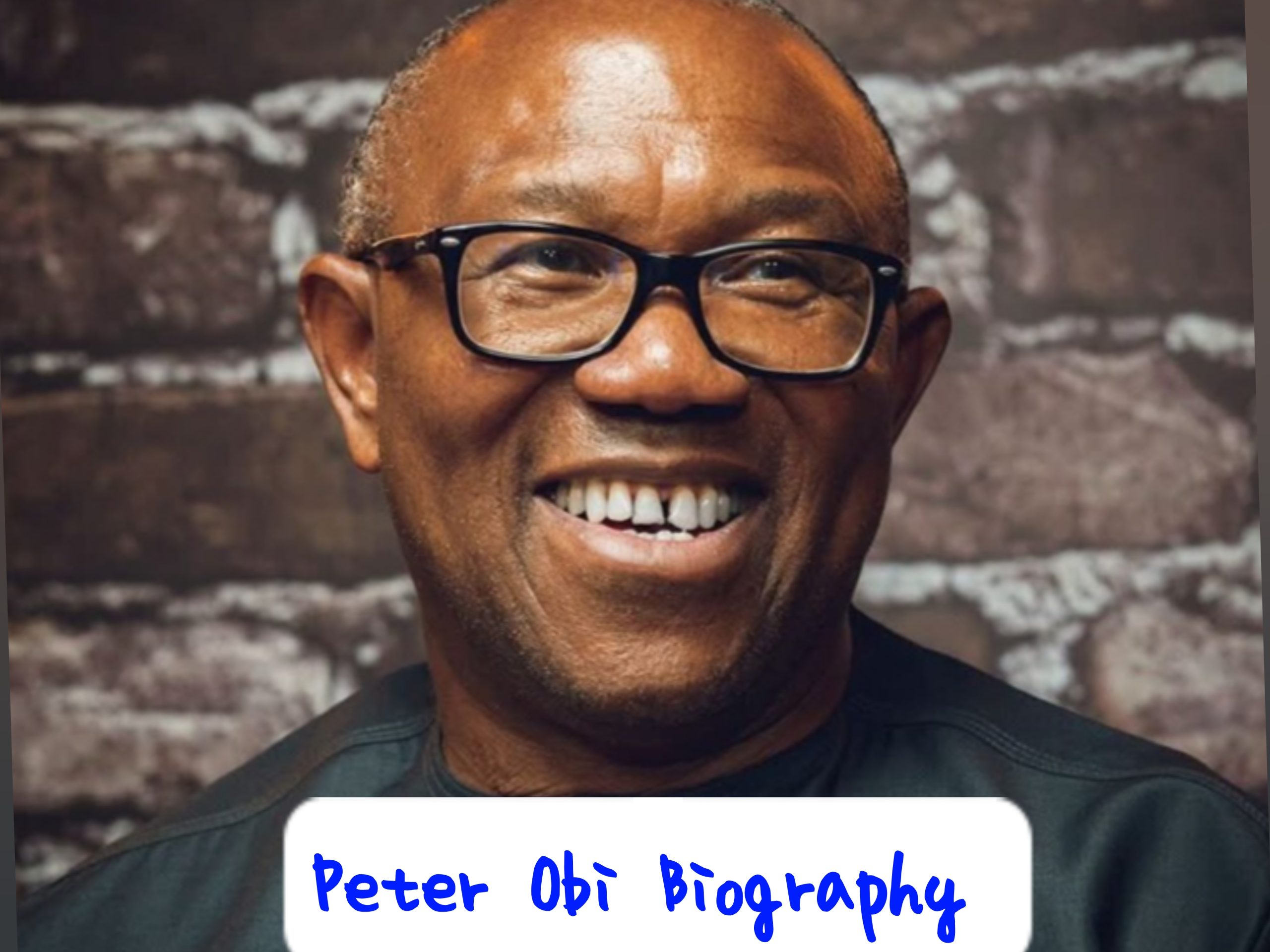 Peter Obi Biography