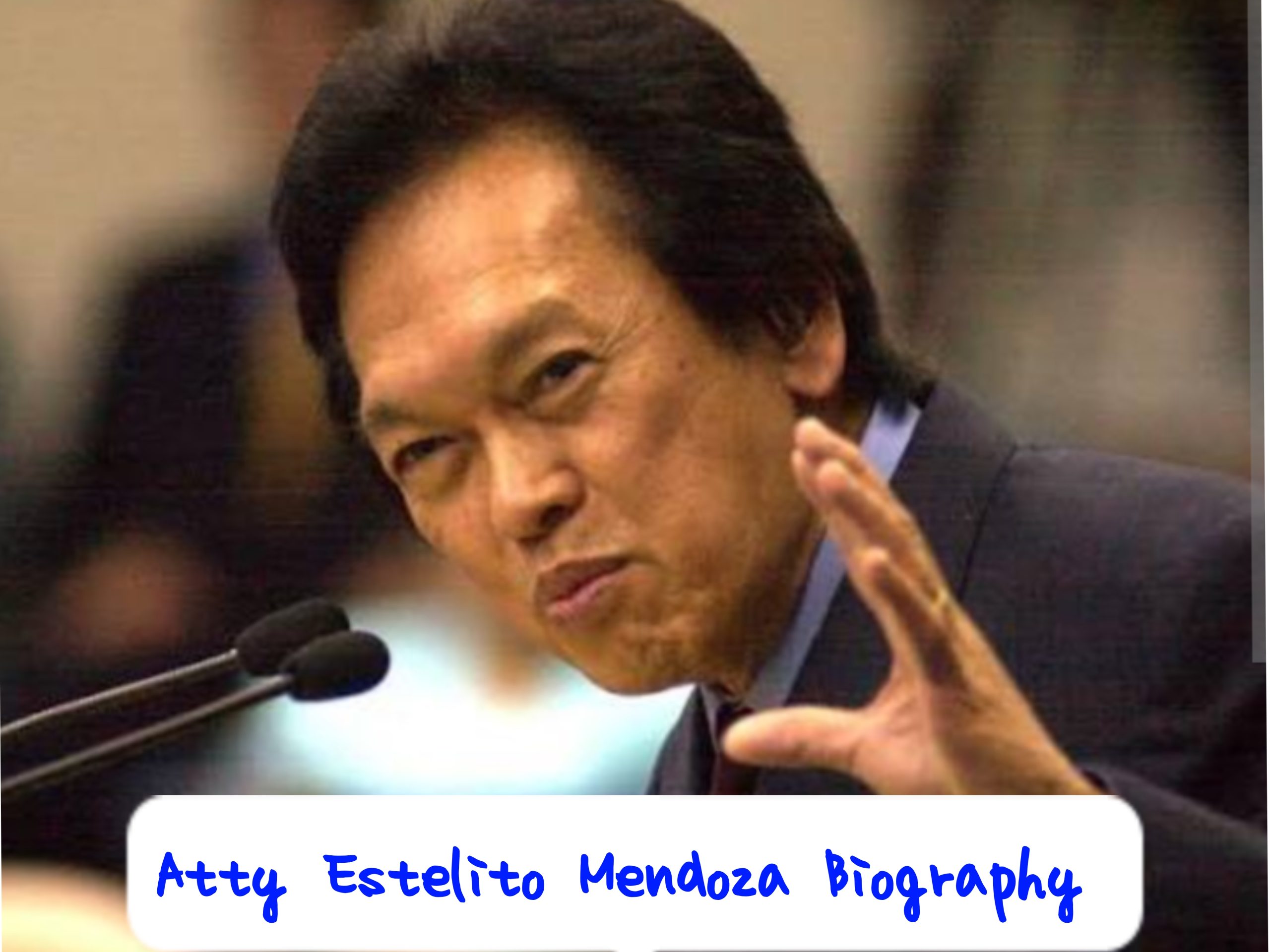 Atty. Estelito Mendoza Biography